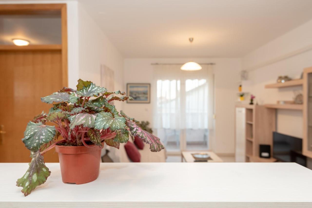 Apartman Valter 扎达尔 外观 照片
